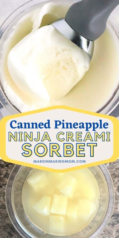 Ninja Creami Pineapple Sherbet, Desserts That Wont Melt Outside, Ninja Creami Watermelon Sherbert, Pineapple Sorbet Ninja Creami, Pineapple Ninja Creami, Pineapple Ninja Creami Recipe, Ninja Icream Recipes, Ninja Creami Frozen Fruit, Ninja Creami Breakfast