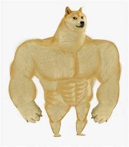 This is a big boi chunky doge he tells you to follow me. Doge Dog, Funny Dog Jokes, Doge Meme, Dog Jokes, Cute Dog Collars, Dog Quotes Funny, Funny Dog Pictures, Dog Wallpaper, Funny Dog Videos