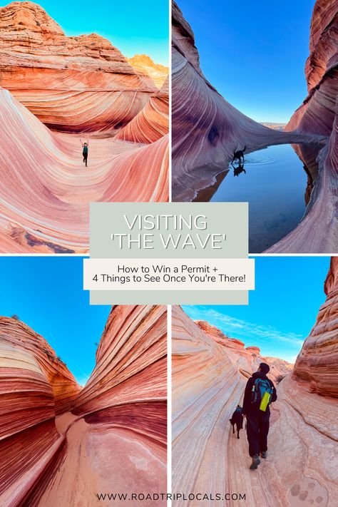 The Wave Utah, The Wave Arizona, Coyote Buttes, Sandstone Rock, Travel Utah, Wave Rock, Visit Utah, Utah Travel, Camper Life