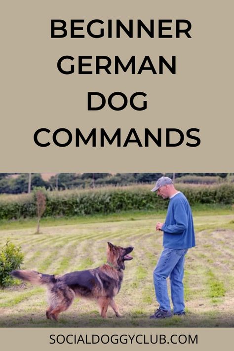 Command Words For Dogs, Dog Commands In German, German Commands For Dogs, German Dog Commands, Lacrosse Training, Dog Training Hand Signals, Newfie Dog, Dog Commands Training, German Shepherd Puppies Training