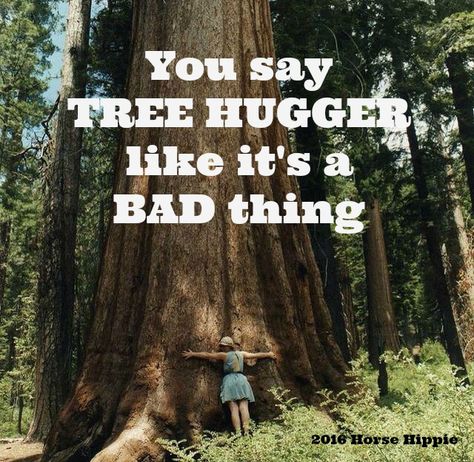 It's A Wonderful Thing. Always. Tree Hugger Quotes, Hugger Quotes, Hugging Quotes, Secret Affirmations, Money Attract, Energy Magic, Quotes Amazing, Tree Hugging, Friends Camping