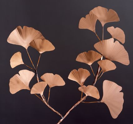 Dan Heng Wallpaper, Ginkgo Branch, Ginkgo Art, Cape Kitchen, Ginko Biloba, Copper Garden, Gingko Biloba, Ginkgo Leaves, Garden Sculptures