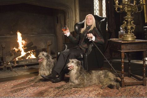 You're Getting Slytherin All Wrong: 6 Myths About Harry Potter's Misunderstood House Lucious Malfoy, Lucius Malfoy Jason Isaacs, Harry Potter Vs Twilight, Malfoy Family, Twilight Photos, Jason Isaacs, Lucius Malfoy, Slytherin House, Newt Scamander