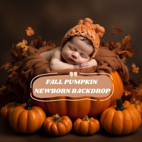 Newborn Photography, Newborn Digital, Autumn Backdrop, Digital Backdrop, Baby Photography, Photoshop Overlay, JPG Digital Backdrop, Face Insert Newborn, Maternity Background, Pumpkin Basket Photo, Baby Shower Backdrop, Newborn Backdrop, Fall Backdrop 🎁 BUY 3 GET 2 FREE 🎁 🎁 BUY 6 GET 4 FREE 🎁 🎁 BUY 9 GET 6 FREE 🎁 Message me after purchase to choose your free products :) Entire Store Bundle: https://infinitepixelscraft.etsy.com/listing/1580199553 📷 I will add your photo to my backdrop 📷 ht September Newborn Photoshoot, Newborn Pumpkin Photoshoot, Autumn Newborn Photos, Fall Pumpkin Baby Photoshoot, Pumpkin Newborn Pictures, Newborn Pumpkin Pictures, Infant Fall Photoshoot, Autumn Baby Photoshoot, Newborn Fall Pictures