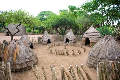 Zulu Cultural Village adjacent to Zulu Nyala Zulu Culture Art, Zulu Culture Aesthetic, Zulu Aesthetic, Africa Village, African Chair, Zulu Culture, African Civilization, Zulu Wedding, African History Facts