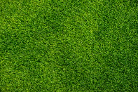 Green grass top view. | Premium Photo #Freepik #photo #texture #leaf #green #nature Tails Texture, Garden Top View, Landscape Top View, Forest Top View, Grass Texture Seamless, Grass Images, Green Grass Texture, Grass Photoshop, Grass Floor