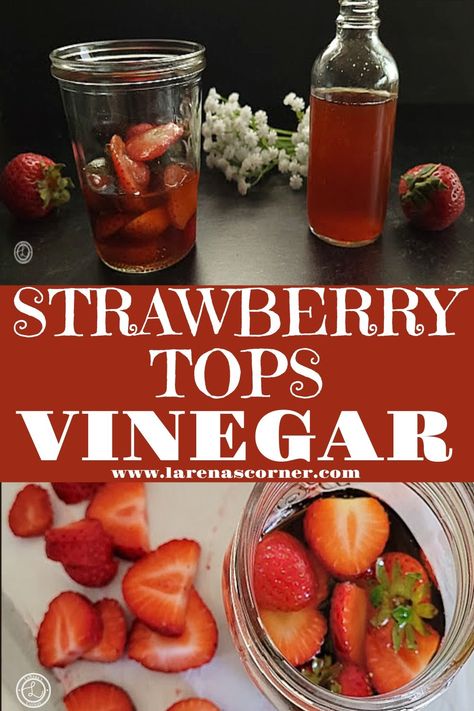 Strawberry Tops Vinegar Recipe Fruit Vinegar Recipes, Homemade Strawberry Vinaigrette Dressing, Strawberry Vinegar Uses, Strawberry Vinegar Recipe, Strawberry Vinaigrette Recipe, Strawberry Tops Vinegar, Flavored Vinegar Recipes, Strawberry Tops Recipe, Strawberry Top Vinegar