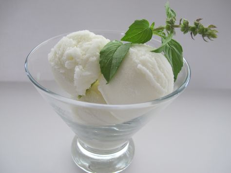 Lemon Basil Gelato | HaveDessertFirst.com Basil Gelato, Frozen Yogurt Recipes, Gelato Recipe, Bcbg Dress, Lemon Basil, Low Calorie Desserts, Food Combining, Yogurt Recipes, Honey Pot