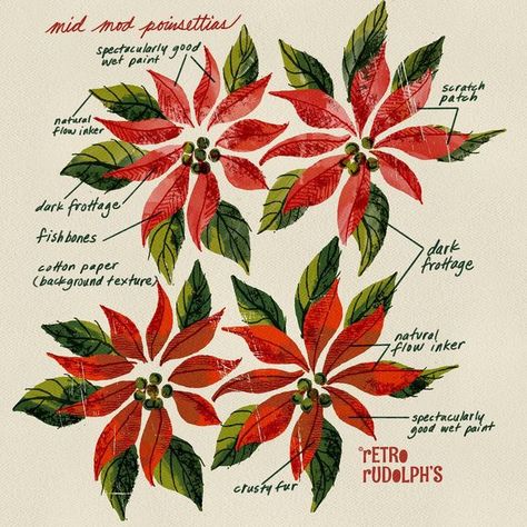 Poinsettia Drawing, Poinsettia Illustration, Poinsettias Flowers, Watercolour Christmas, National Lampoons Christmas Vacation, Illustrator Illustration, Favorite Flowers, Mid Mod, Illustrators On Instagram