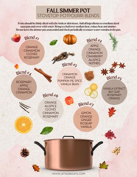 Fall Stovetop Potpourri House Smells, Stove Top Popurri Fall, Potpourri Crock Pot, Call Simmer Pot, Fall Popourie, Fall Scent Stovetop, Simmer Pots Witchcraft Fall, Fall Scent Simmer Pot, Fall Poupori Stovetop