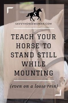 Train your Horse to Stand Still While Mounting. Horse Training Tips from Savvy Horsewoman Horse Training Quotes, Gait Training, Dressage Exercises, Horse Training Exercises, Horse Information, Riding Tips, Training Quotes, Diy Horse, Horse Exercises