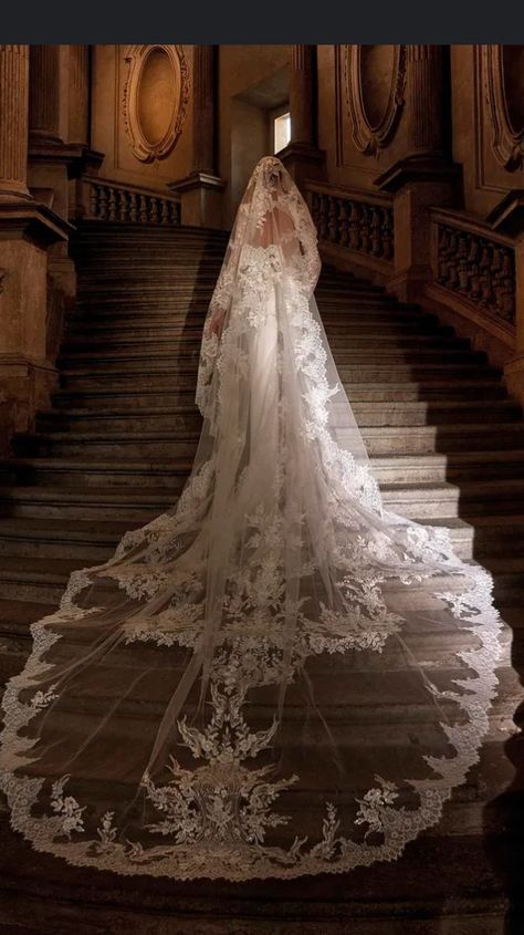 Wedding Dress Keyhole Back, Wedding Dresses Pronovias, Wedding Dress Pronovias, Mantilla Veil Wedding, Wedding Dresses 2022, Illusion Sleeves, 2024 Wedding Dresses, Pronovias Wedding Dress, Wedding Dresses 2024