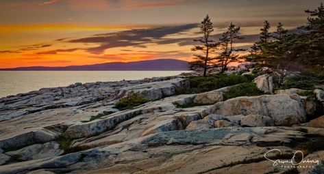 Schoodic Point Maine, Schoodic Peninsula Maine, Maine Hiking, Maine Coastline, Barbados Vacation, Maine Summer, Maine Trip, Dream Vacation Spots, Maine Vacation