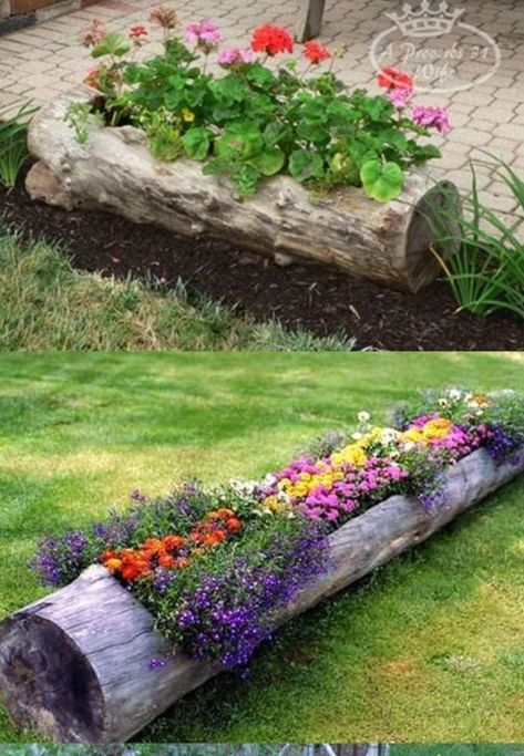 Log Planter, Different Types Of Flowers, Have Inspiration, The Secret Garden, Lawn And Garden, Types Of Flowers, Raised Garden, Dream Garden, Garden And Yard