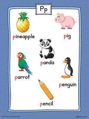 Letter P Word List with Illustrations Printable Poster (Color) Worksheet.Use the Letter P Word List with Illustrations Printable Poster to play letter sound activities or display on a classroom wall. P Words Letter, Letter Pictures, Letter Activity, Letter Sound Activities, Alphabet Board, Kindergarten Coloring Pages, Alphabet Words, The Letter P, P Words