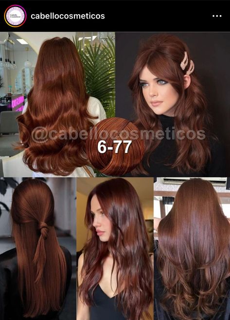 Dark Copper Brown Hair Formula, Half Died Under Hair Red, Cinnamon Hair Formula, Hair Dye Ideas For White Skin, Chestnut Red Hair Color Reddish Brown, Dark Auburn Hair Color Formula, Igora Royal Chocolate Brown, Igora Hair Color Brown, Ethereal Hair Color