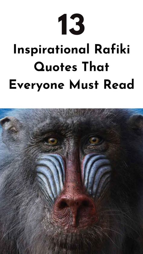 Check out these inspirational Rafiki quotes that will guide you toward a life of purpose and embrace the lessons of our past. #rafikiquotes #lifelessons Rafiki Quotes Wisdom, Mufasa Quotes, Rafiki Quotes, Chase Your Dreams, Love And Happiness, Navigating Life, Must Read, Life Lessons, Personal Growth