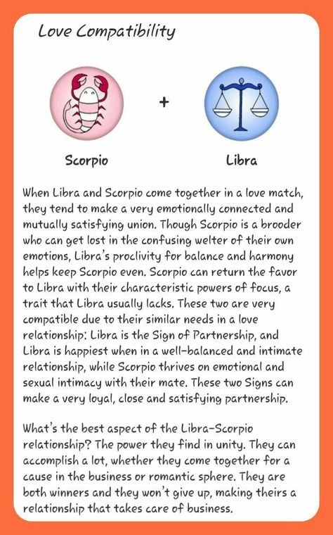 Libra And Scorpio Compatibility, Libra And Scorpio, Libra Scorpio Cusp, Libra Compatibility, Scorpio Relationships, What Is Birthday, Libra Relationships, Scorpio And Libra, Libra Quotes Zodiac