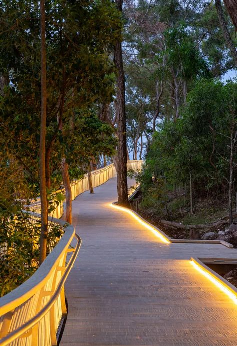 Accoya barefoot friendly boardwalk - Noosa, Australia Moving To Australia, Public Seating, Lan Can, Leaf Nature, Green Space, Sunshine Coast, Landscape Lighting, Australia Travel, Public Space