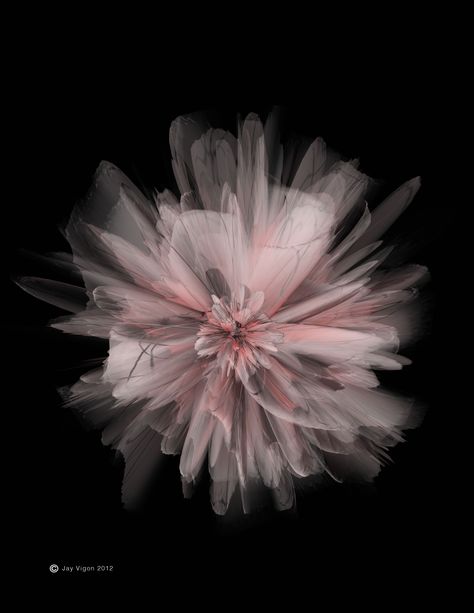 flower painting by jay Vigon, Floraproject.com Apple Watch Black Wallpaper, Wallpaper Iwatch Apple, Apple Watch Wallpaper Black, Wallpaper For Smart Watch, Iwatch Wallpapers, Wallpaper For Apple Watch, Smart Watch Wallpaper, Floral Illustration Art, Smartwatch Wallpaper