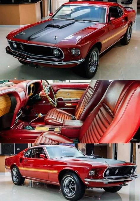 1969 Mustang Mach 1, Sports Cars Mustang, 1969 Mustang, Cars Drive, Power Design, Old Muscle Cars, Mustang Mach 1, Mustang Cobra, Vintage Muscle Cars