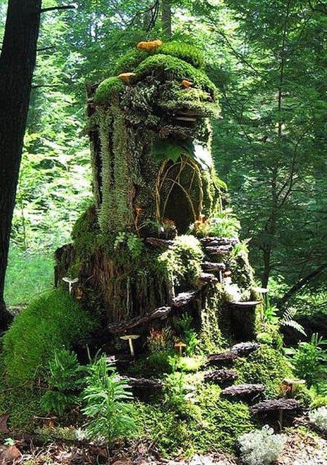 A Fairy House. Legend has it that if you build a fairy butterfly home and leave it in your garden, you might attract a fairy into your domain. Fairy Garden Ideas Enchanted Forest, Fairy Garden Design Ideas, Gnome Houses, Tree Stump Planter, Fairy Tree Houses, Cool Tree Houses, Fairy Garden Designs, Fairy Garden Crafts, Faeries Gardens