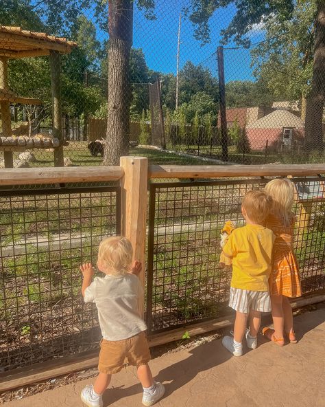 Zoo day 🦒 🦓 🦘🦏🐆🐊🐅🦁🦩 Zoo Day, Kids Zoo, Toddler Mom, August 12, Future Baby, Kids Stuff, Cool Kids, Collage, On Instagram