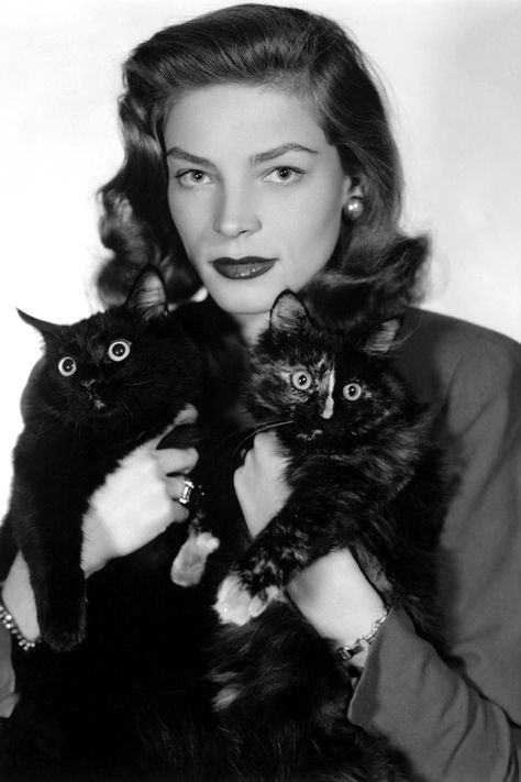 Celebrities With Cats, Munchkin Cat, Cat Enclosure, Lauren Bacall, Classic Actresses, French Bulldog Puppies, Cat Photography, Cat People, Vintage Cat