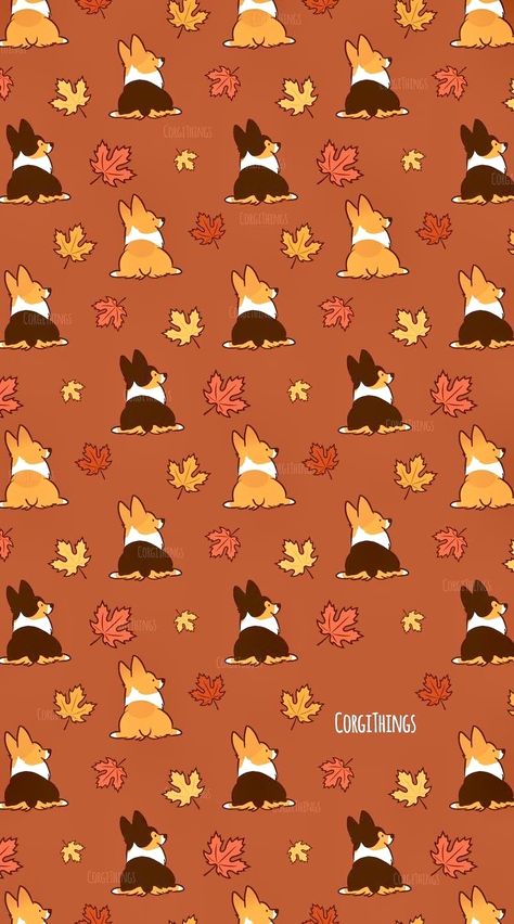 Corgi Wallpaper, Thanksgiving