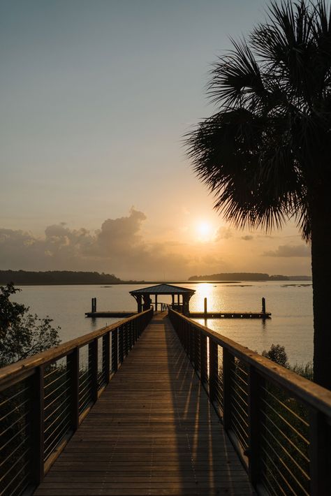 Coastal Cottages, Southern Aesthetic, South Carolina Art, Coastal South Carolina, South Carolina Coast, Cozy Dinners, Bluffton South Carolina, South Carolina Lowcountry, Life Is A Journey