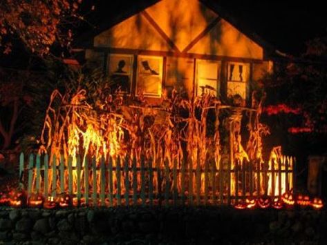 20 Outdoor Halloween Decorations That Will Transform Your House - Society19 Fun Diy Halloween Decorations, Halloween Outside, Outdoor House, Scary Halloween Decorations, Halloween 2016, Halloween Yard, Halloween Lights, Spooky Scary, Halloween 2018