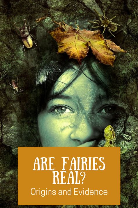 Are Fairies Real? Origins and Evidence that Fairies Exist Fairy Legends, Different Types Of Faeries, Are Fairies Real, Types Of Fae Creatures, Real Fairy Pictures, Fairies Facts, Spiritual Meaning Of Fairies, Fairy Spells, Fairies Mythology