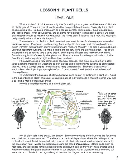 Botany in 8 Lessons –Homeschool Science Course for All Ages - The Curriculum Choice Homeschooling 3rd Grade, Botany Lessons, Farm Lessons, Homeschool Science Curriculum, Science Topics, Plant Cell, Homeschool High School, High School Science, Plant Information