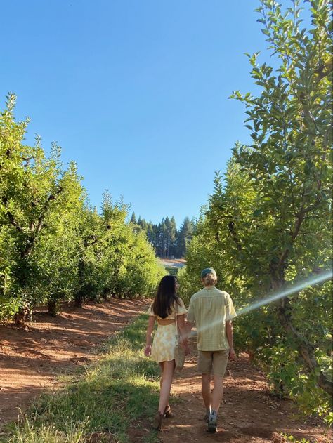 Apple Picking With Boyfriend, Apple Picking Photoshoot Couple, Apple Picking Aesthetic Couple, Apple Orchard Couple Pictures, Couple Apple Orchard Pictures, Couples Photoshoot Apple Orchard, Apple Picking Couples Photos, Orchard Pictures, Hill Photoshoot