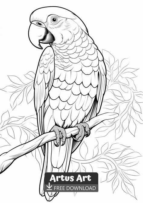 Macaw Parrot Coloring Page - Free PDF Download Coloring Page. #freedownload #macawparrotcoloringpage #macawparrot Parrot Coloring Page, Parrot Drawing, Parrots Art, Bird Coloring Pages, Outline Drawings, Bird Drawings, Animal Coloring Pages, Tree Branch, Coloring Pictures