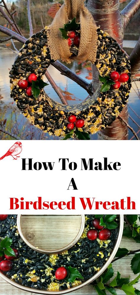 Diy Bird Seed Wreath, Bird Wreath Feeders, Diy Birdseed Wreath, Birdseed Wreath Recipe, How To Make Birdseed Ornaments, Bird Seed Wreath Diy, Christmas Bird Feeders Diy, Bird Feeder Wreath, Bird Crafts For Kids Easy