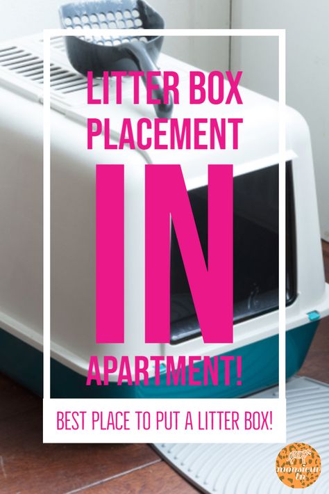 Hideaway Litter Box Diy, Cat Litter Box Small Spaces, Where To Keep Litter Box Ideas, Small Bathroom Litter Box Ideas, Places To Put Litter Boxes, Where To Place Cat Litter, Liter Box Small Apartment, How To Conceal Litter Boxes, Where To Put Litter Box In Small House