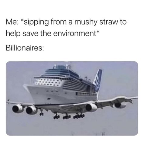 Thought this meme was quite funny and sad at the same time🙃 #meme #funny #environment #memesdaily #paperstraw #airplane #cruises Awkward Pictures, Not Aesthetic, Why So Serious, Google Photos, Funny Pictures, Straw, Funny Memes, Web Design, In This Moment