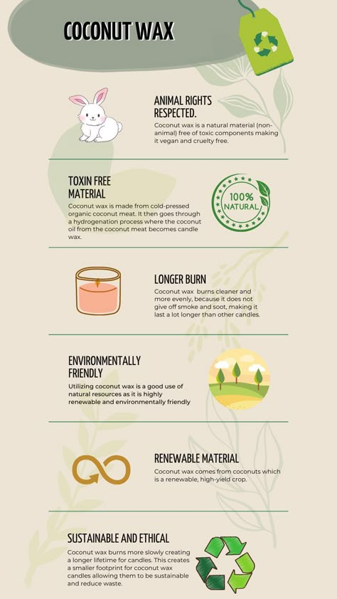 green and tan infographic about the benefits of using coconut wax candles Why Soy Wax Candles, Coconut Apricot Wax Candle, Coconut Soy Wax Candles Diy, Coconut Wax Candles Diy, Coconut Candles Diy, Coconut Soy Wax Candles, Wax Candles, Coconut Candles, Lotion Candle Recipe