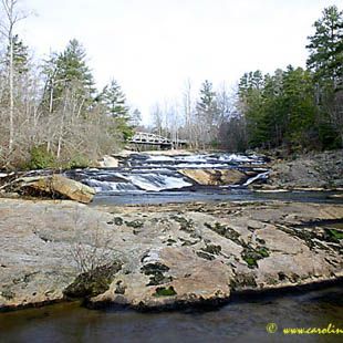 DAR Shoals | Upcountry South Carolina Daughters Of The American Revolution, Upstate South Carolina, Waterfall Wedding, Area Map, Visitor Center, Interactive Map, Natural Resources, South Carolina, Golf Courses