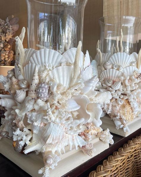 Pair of Large Seashell & Corals Hurricane Lanterns Available @palmbeachhomestyle Boutique For Details DM. #palmbeachhomelifestyle… | Instagram Seashell Table Decor Centerpieces, Large Seashell Display Ideas, Seashells Centerpieces, Coastal Flower Arrangements, Nautical Centerpieces, Beach Arrangements, Seashell Party, Seashell Centerpieces, Shell Mirrors