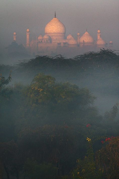 Tac Mahal, تاج محل, Taj Mahal India, Photography Journey, Manor Houses, Playboy Bunny, India Travel, Agra, Oh The Places Youll Go