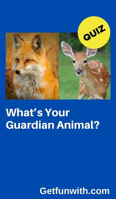 https://www.pinterest.com/pin/636203884882009825/ #quiz #quizzes #buzzfeed #triviaquestionsandanswers #quizzesbuzzfeed #trivia #quizzesforfun #funquiz #spiritanimal Which Animal Are You Quiz, Am I A Therian Quiz, Which Animal Are You, What Animal Am I Quiz, What Animal Am I, What Is My Spirit Animal, Spirit Animal Test, Spirit Animal Quiz, Whats Your Spirit Animal