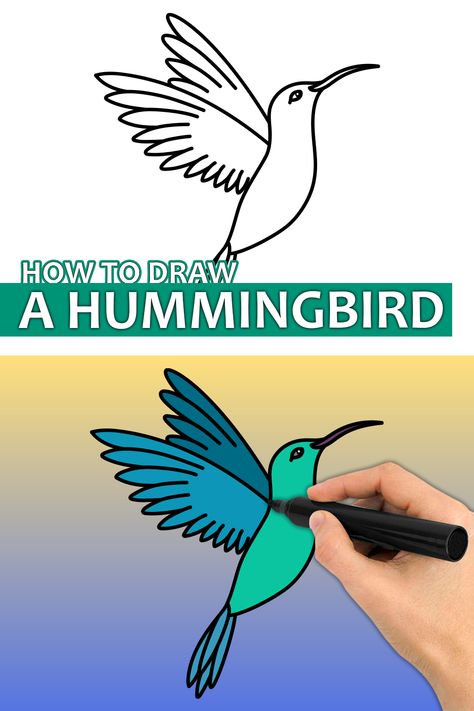 Humming Bird Drawing Easy Step By Step, How To Draw Hummingbird, Pictures Of Hummingbirds, How To Draw A Hummingbird, Hummingbird Painting Acrylic Easy, Draw A Hummingbird, Hummingbird Art Drawing, Hummingbird Drawing, Beginner Drawing Lessons