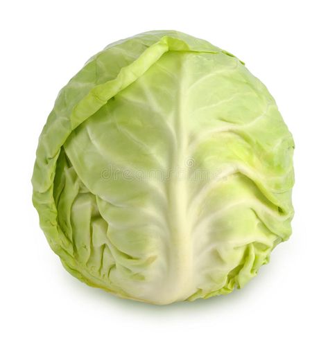 Cabbage. The cabbage on white background , #Affiliate, #cabbage, #Cabbage, #background, #white #ad Droplets Of Water, Cabbage Leaves, Background White, Kale, Lettuce, Free Stock Photos, Stock Images Free, Stock Photography, Transparent Background