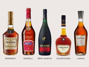 Top Cognac Brands include Hennessy, Martell, Rémy Martin, Courvoisier, and Camus Cognac Drinks, Brandy Liquor, Best Cognac, Grape Brandy, White Wine Grapes, Wine Folly, Clam Recipes, Refreshing Drinks Recipes, Alcohol Bottles