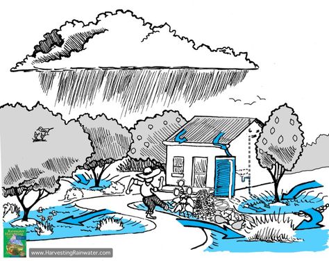 Rainwater Harvesting for Drylands and Beyond by Brad Lancaster: Award-winning books and resources to help you create abundant & productive homes, landscapes, and communities fed by the rain and powered by the sun. Strategies, tips, illustrations, examples, … Water Harvesting Drawing, Rain Water Harvesting, Water Harvesting, Water From Air, Rainwater Harvesting System, Urban Heat Island, Pub Set, Permaculture Design, Rainwater Harvesting