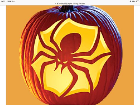 Spider Pumpkin Carving, Disney Pumpkin Stencils, Scary Pumpkin Carving Patterns, Halloween Pumpkin Templates, Halloween Carving, Pumpkin Masters, Pumpkin Carving Patterns Free, Halloween Template, Recluse Spider