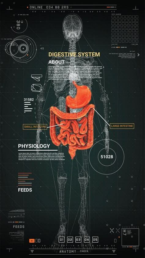 Physiology Wallpaper, Bioengineering Aesthetic, Biology Wallpaper, Biology Student, Human Digestive System, Medical Photography, Basic Anatomy And Physiology, Medical Posters, Medical Wallpaper