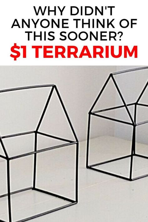 Cheap Terrarium, Closed Terrarium Ideas Diy How To Make, Diy Closed Terrarium, Clear Plastic Terrarium Globes Ideas, Plastic Terrarium, Geometric Terrarium Centerpiece Fairy Lights, Geometric Terrarium Diy, Diy Succulent Terrarium, Easy Holidays Crafts